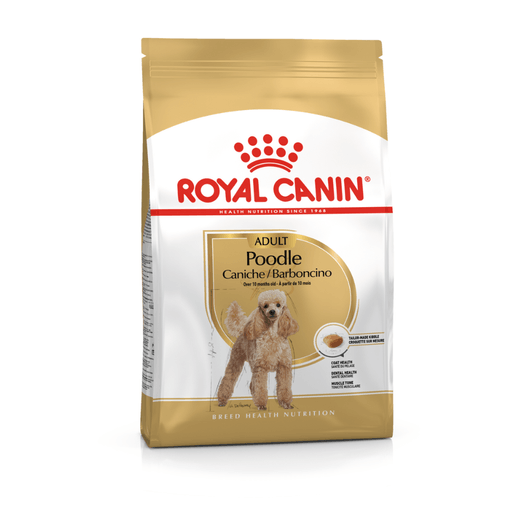 BHN POODLE ADULT.png